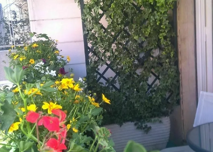 Luxury In Vatican Area-hanini House-